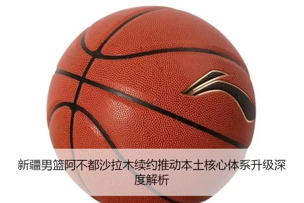 xin-jiang-nan-lan-a-bu-dou-sha-la-mu-xu-yue-tui-dong-ben-tu-he-xin-ti-xi-sheng-ji-shen-du-jie-xi-2-439.jpg